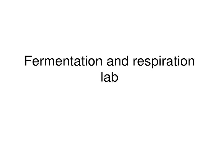 fermentation and respiration lab