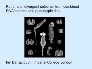 Patterns of divergent selection from combined DNA barcode and phenotypic data
