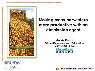 Making mass harvesters more productive with an abscission agent