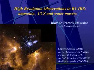 High Resolution Observations in B1-IRS: ammonia , CCS and water masers