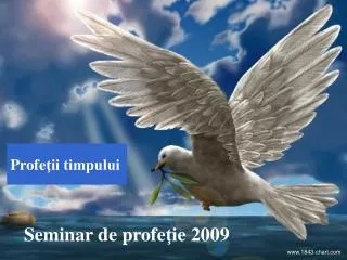 profe ii timpului