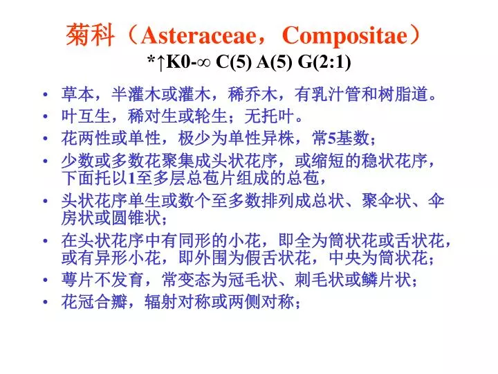 asteraceae compositae k0 c 5 a 5 g 2 1