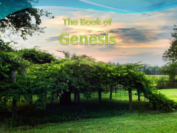 the book of genesis
