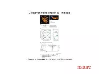 L Zhang et al. Nature 000 , 1-6 (2014) doi:10.1038/nature13442