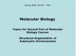 Molecular Biology - slide 1