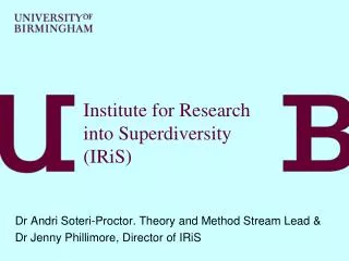 Institute for Research into Superdiversity (IRiS)