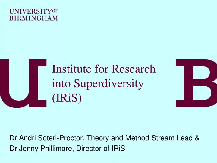 institute for research into superdiversity iris