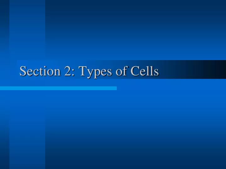section 2 types of cells