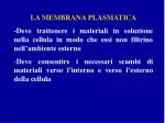 LA MEMBRANA PLASMATICA - slide 1