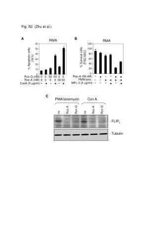 % Apoptotic cells (16 h)