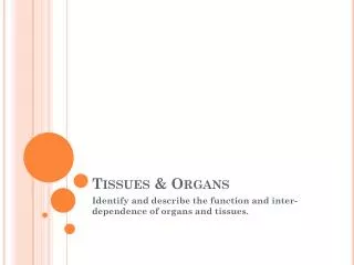 Tissues &amp; Organs