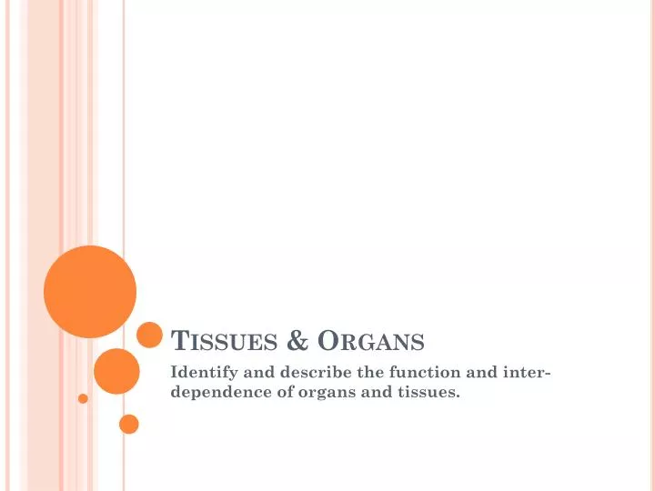tissues organs