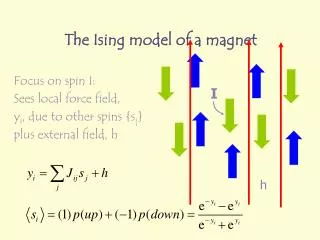 The Ising model of a magnet