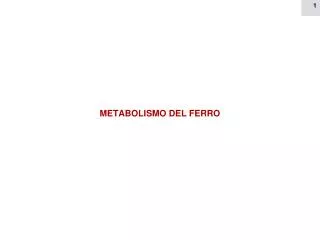 metabolismo del ferro