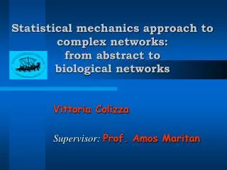 Statistical mechanics approach to complex networks: from abstract to