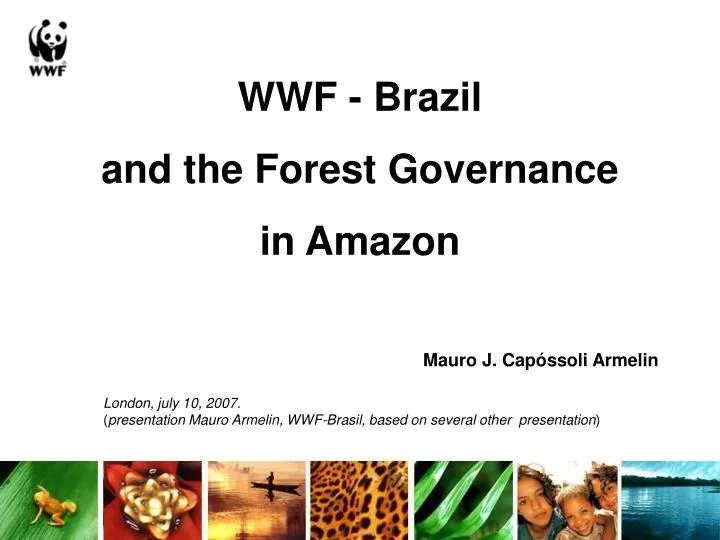 wwf brazil and the forest governance in amazon