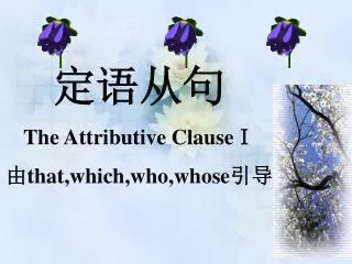 ???? The Attributive Clause? ? that,which,who,whose ??