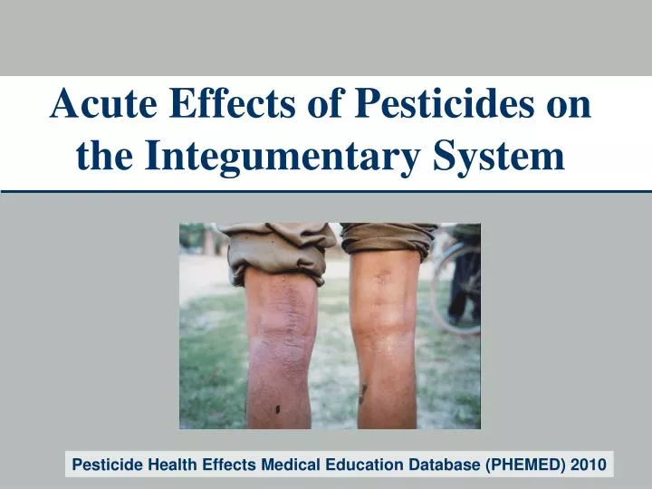 acute effects of pesticides on the integumentary system