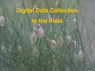 Digital Data Collection In the Field