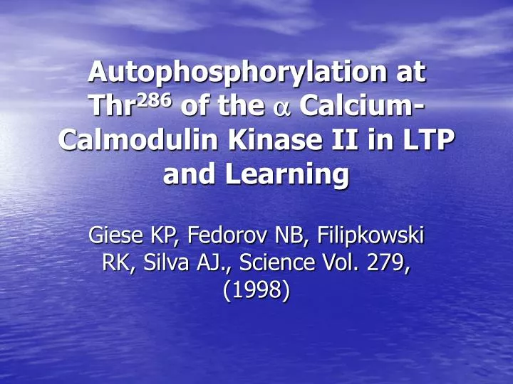 autophosphorylation at thr 286 of the calcium calmodulin kinase ii in ltp and learning
