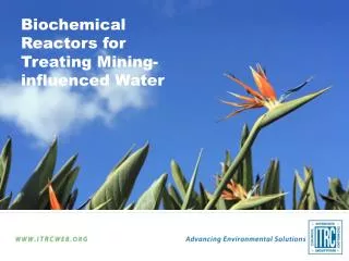 Biochemical Reactors for Treating Mining-influenced Water