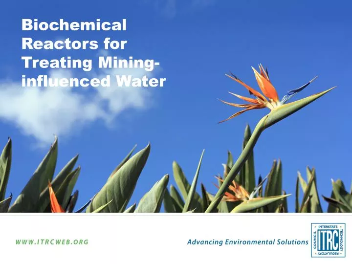 biochemical reactors for treating mining influenced water