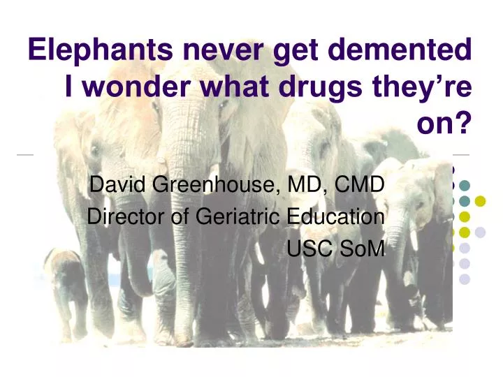 elephants never get demented i wonder what drugs they re on