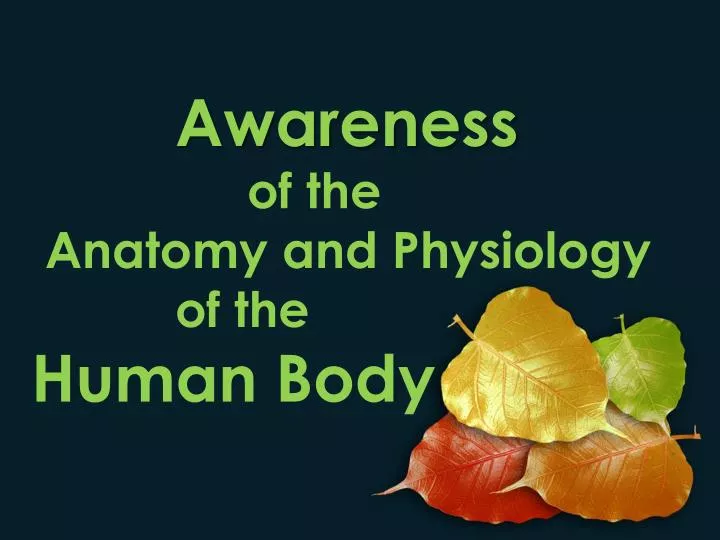 awareness of the anatomy and physiology of the human body