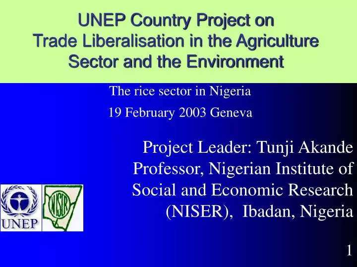 unep country project on trade liberalisation in the agriculture sector and the environment