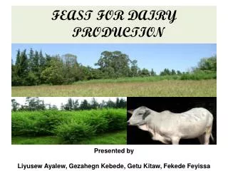 FEAST FOR DAIRY PRODUCTION