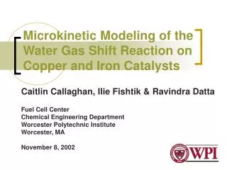 Microkinetic Modeling of the Water Gas Shift Reaction on Copper and Iron Catalysts