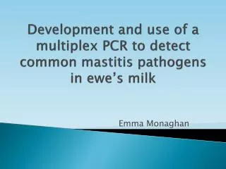development and use of a multiplex pcr to detect common mastitis pathogens in ewe s milk