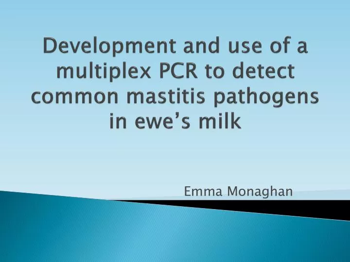 development and use of a multiplex pcr to detect common mastitis pathogens in ewe s milk