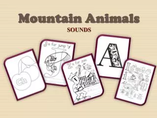 Mountain Animals SOUNDS