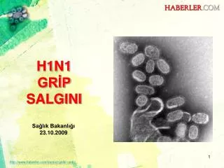 h1n1 gr p salgini