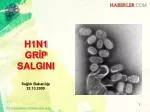 H1N1 GRİP SALGINI - slide 1