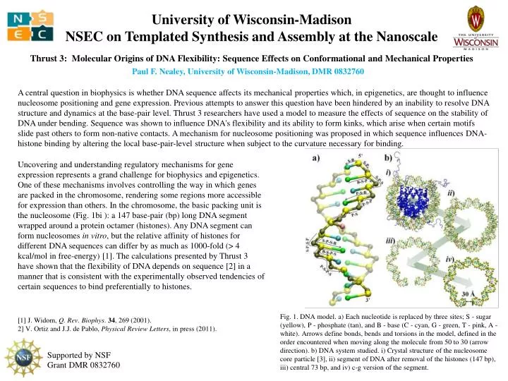 university of wisconsin madison nsec on templated synthesis and assembly at the nanoscale