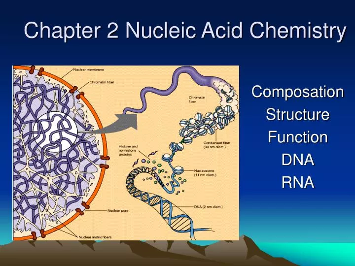 chapter 2 nucleic acid chemistry