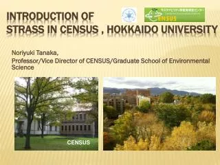 Introduction of Strass in CENSUS , Hokkaido University