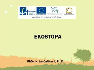 ekostopa