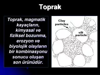 toprak