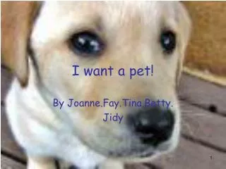 i want a pet