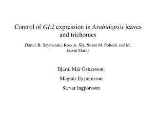 control of gl2 expression in arabidopsis leaves and trichomes