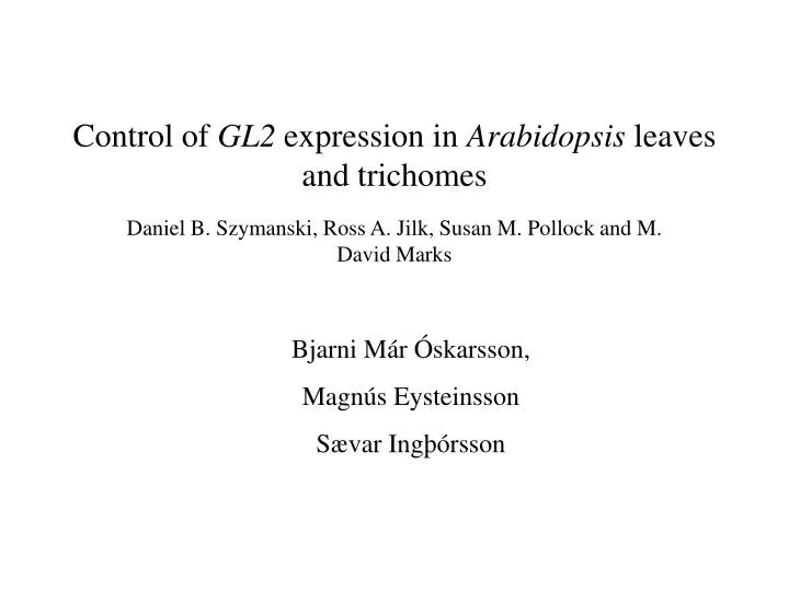 control of gl2 expression in arabidopsis leaves and trichomes