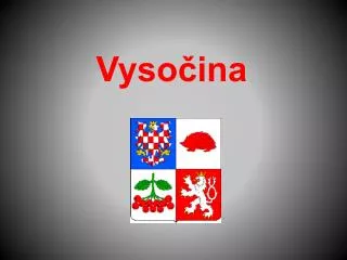 vyso ina