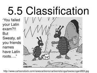 5.5 Classification