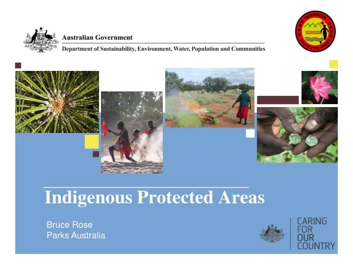indigenous protected areas