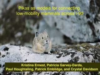 Pikas as models for connecting low-mobility mammals across I-90