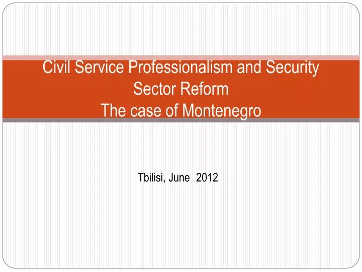 civil service professionalism and security sector reform the case of montenegro