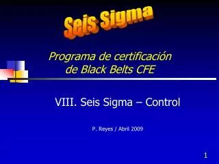 programa de certificaci n de black belts cfe